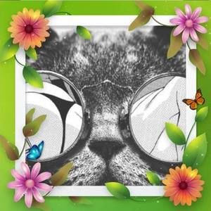 Meet your Posher, Ashleen